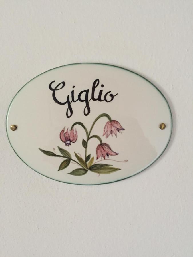 Qui Wolf Udine Hotel Collalto Eksteriør billede